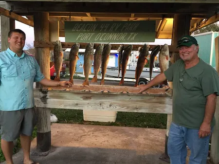 Two guests at the fish cleaning table with a row of redfish and trout